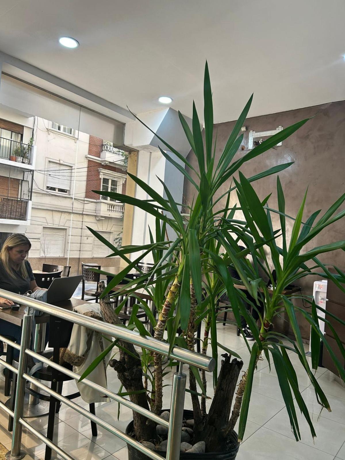 Hostel Che Ba Buenos Aires Ngoại thất bức ảnh